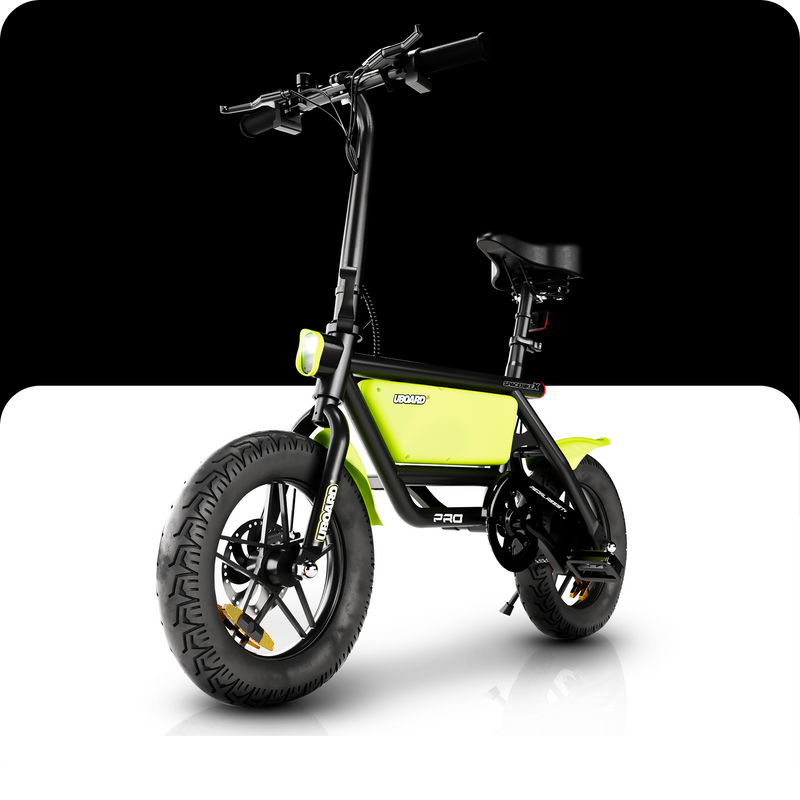 Electric Bike